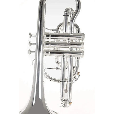 Corneta En Tonalidad Bb Con Tudel Ml Roy Benson Cr-302s