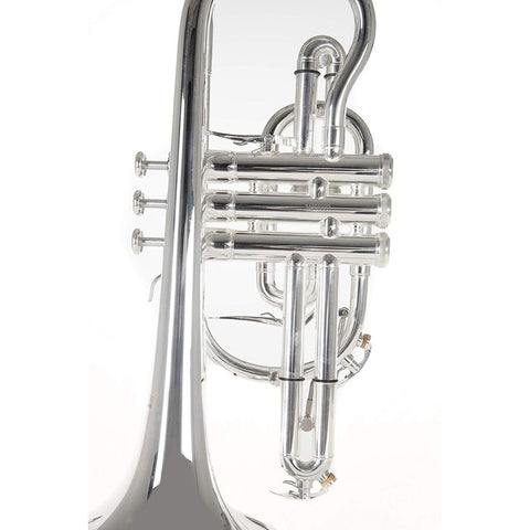 Corneta En Tonalidad Bb Con Tudel Ml Roy Benson Cr-302s