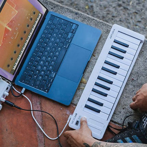 Controlador Midi Usb Arturia Microlab Mk3 Color Negro