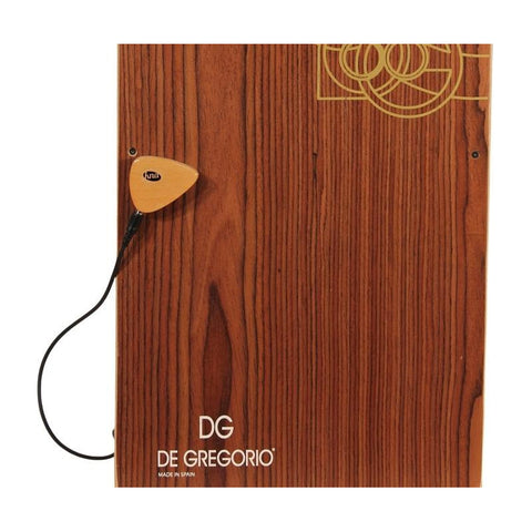 Pastilla Portátil Para Instrumentos Acusticos Kna Ap-1