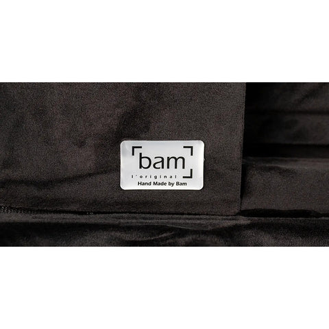 Estuche Case Premium Para Violín Bam Cons2002sn Negro. Negro