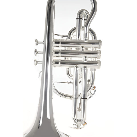 Roy Benson Cr-302s Corneta Si Bemol Tudel Ml Niquelada