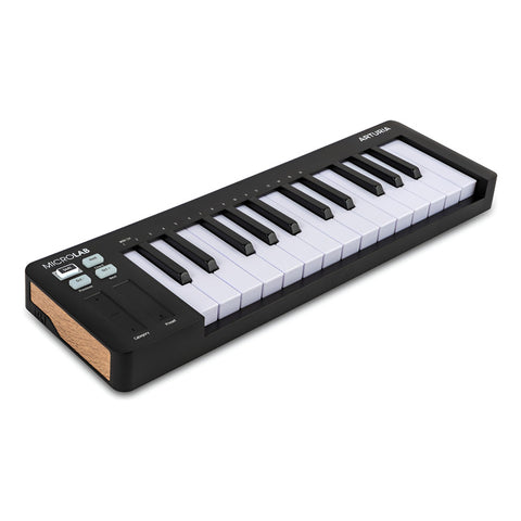 Teclado Controlador De 25 Teclas Arturia Microlab Mk3 Negro Negro