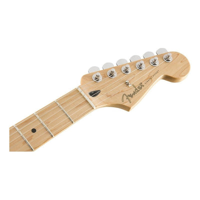 Guitar Player Stratocaster Hss Plus Top Fender 0144562531